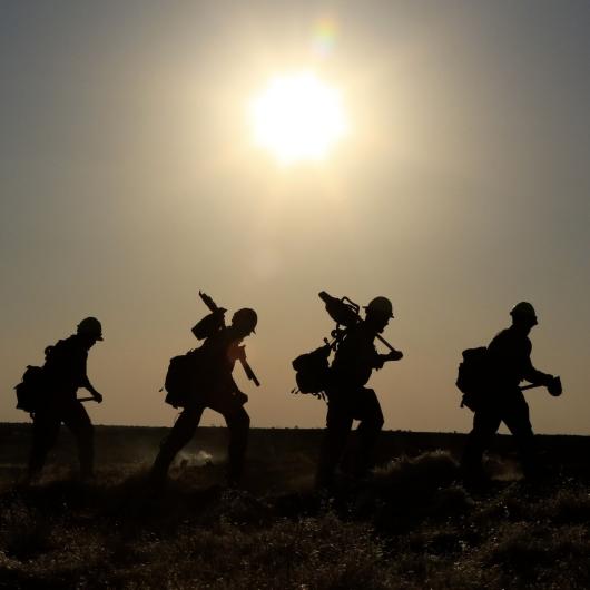 Silhouette of four wildland firefighters with sun in background.