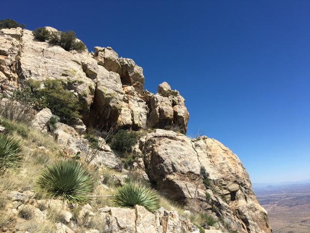 Rocky cliffside with desert plants under a clear blue sky overlooking a vast arid landscape.
