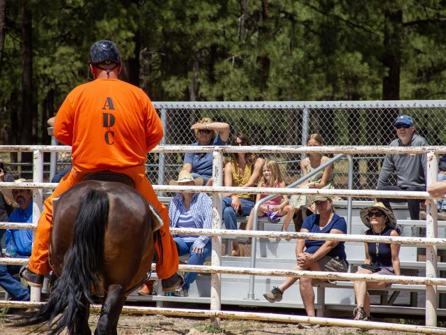 A group of people watch a person dressed in orange ride a horse