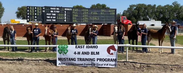 East Idaho 4-H and BLM mustang training program participants