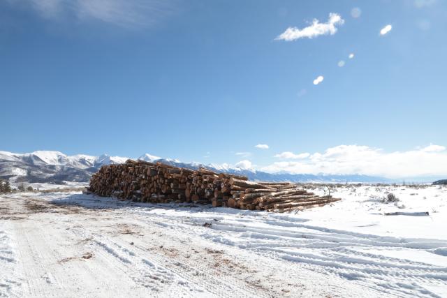 Salvaged timber from Poncha Pass waits to be collected at the north end of Colorado’s San Luis Valley.