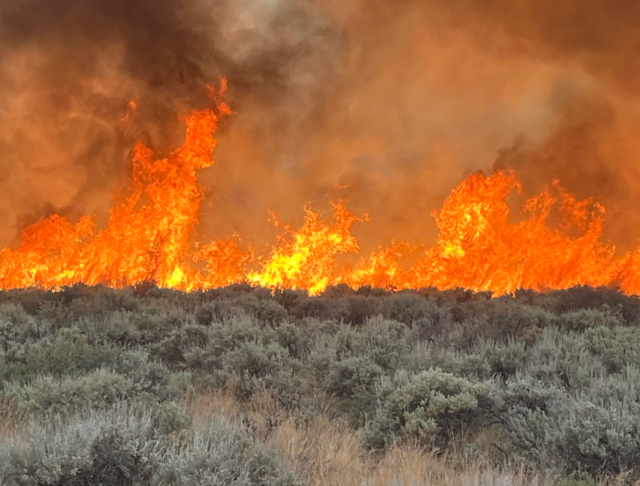 20-foot flames rise from shrubs