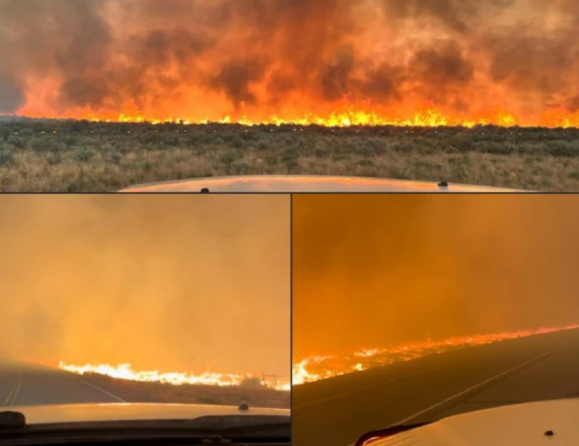 flame lengths much lower in the treated area