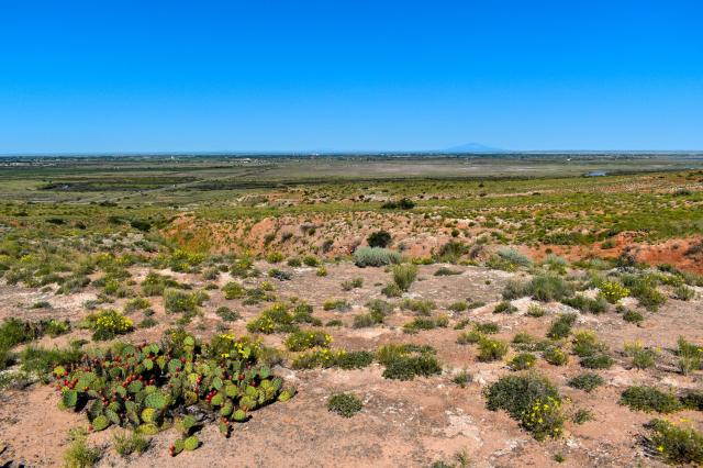 Photo of land included in the Oxbow Acquisition
