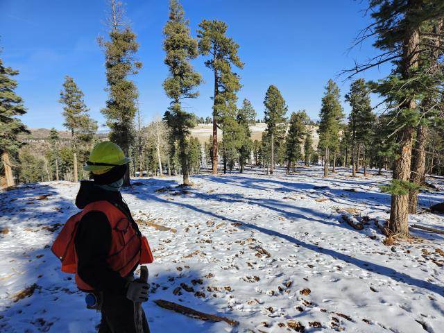 Mark Wagner, a forester with the Colorado State Forest Service, oversees contract work completed at the Rock Creek development, part of a Good Neighbor Authority project partnership with the Bureau of Land Management. Photo by Adam Moore, courtesy of the Colorado State Forest Service