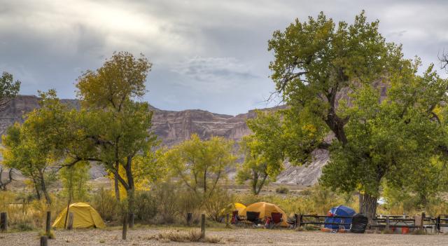 Tents surrounded by trees with rocks in background