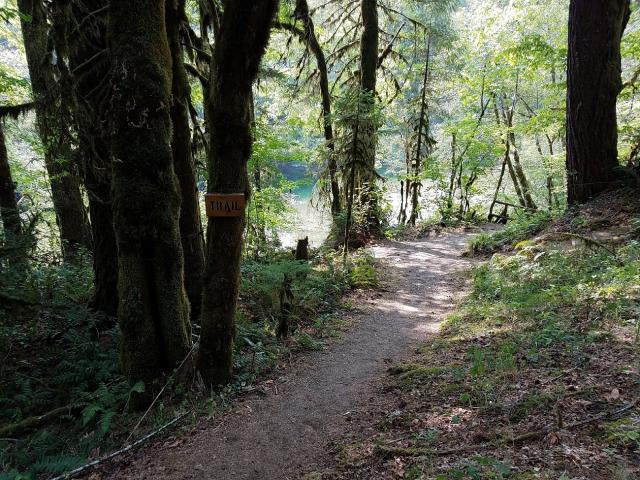 trail to Quartzville Creek at Yellowbottom Recreation Site