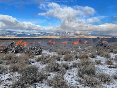 Piles of brush burning in the high desert with snow.