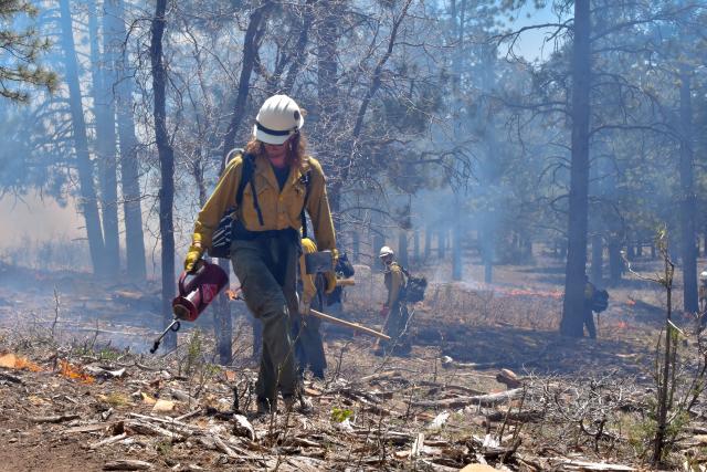 Wildland firefighters conduct a prescribed burn on Animas City Mountain near Durango, Colo. in May, 2023.
