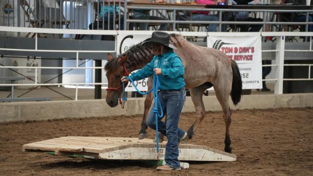 Photo of Emery Glassman at the Kansas State Fair Youth Challenge