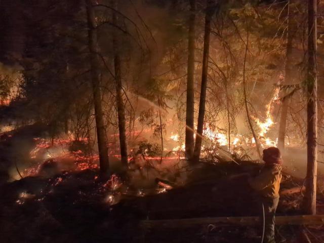 A fire fighter sprays water on a fire in a forest.