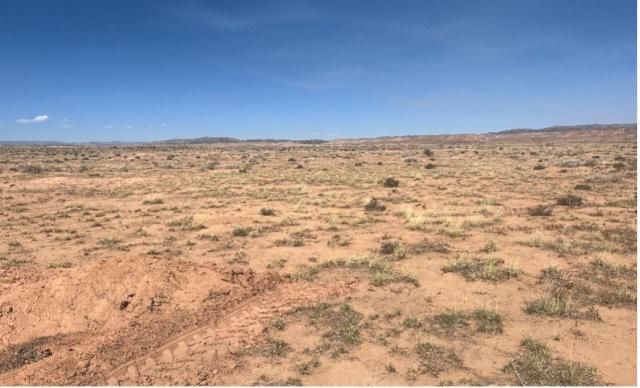 The scene near the Halfway Hollow area southwest of Vernal following a 2023 cheatgrass treatment. Photo by Cal DeBerard, Fuels Specialist with BLM Green River District. 