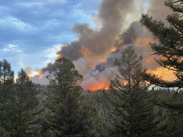 Smoke and flames can be seen in the distance across a forest. 