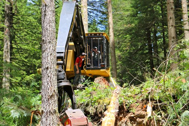 A worker stands on the treads of a yellow timber harvesting machine and talks to the machine operator in a forest.