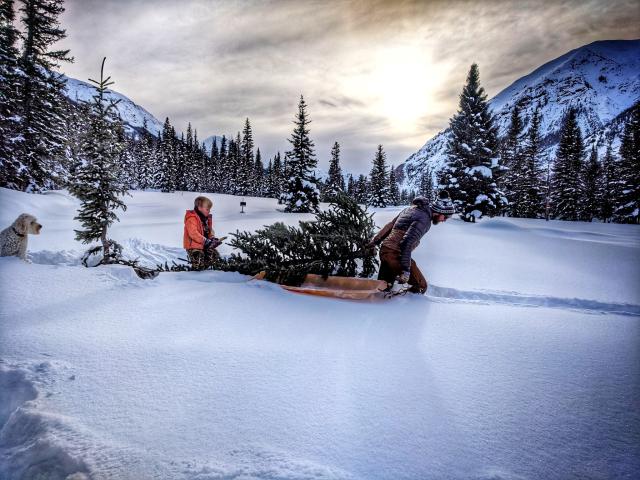 a man pulls a Christmas tree through a snowy field between mountains while a young child and dog follow behind the tree
