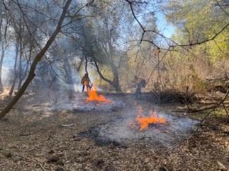A fighter supervises two burning brush piles.
