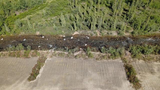 An aerial photo of a small section of rehabilitation work on Nome Creek. 