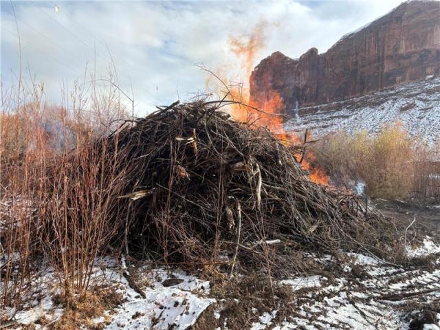 A burning pile of sticks and brush