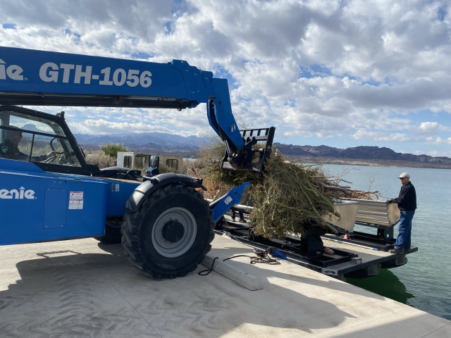 A blue telehandler forklift loads pine trees onto a barge at a boatlanding on a lake.