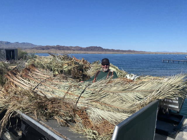 A man wearing a ballcap smiles amid two loads of palm fronds with a lake in the background.