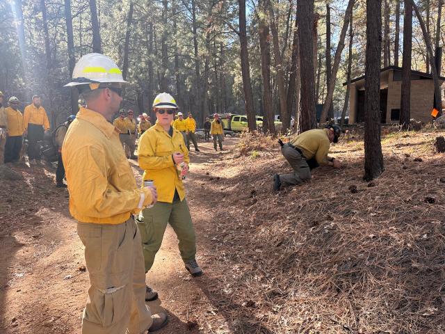 Two investigator trainees in yellow shirts and brown pants observe an instructor igniting a controlled burn for study, while additional trainees watch in the background of a wooded area.