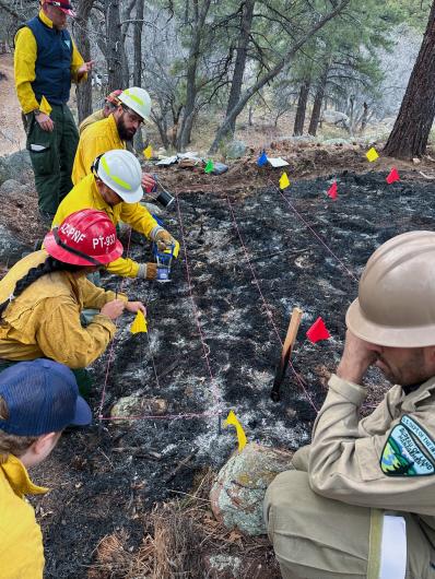 Trainees in yellow shirts examine a burn area subdivided by string lines and marked with red and yellow flags.