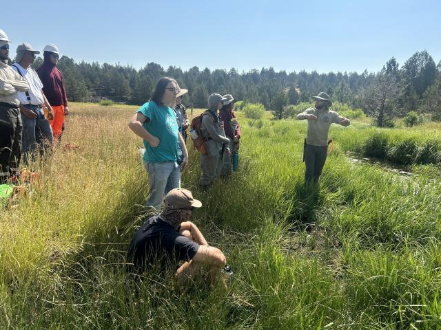 2025 Field effort in July, BLM and Partners, Photo by Garrett Costello.