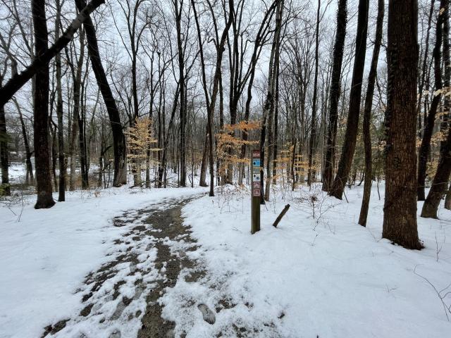 An empty hiking trail running through a snowy winter landscape with bare trees