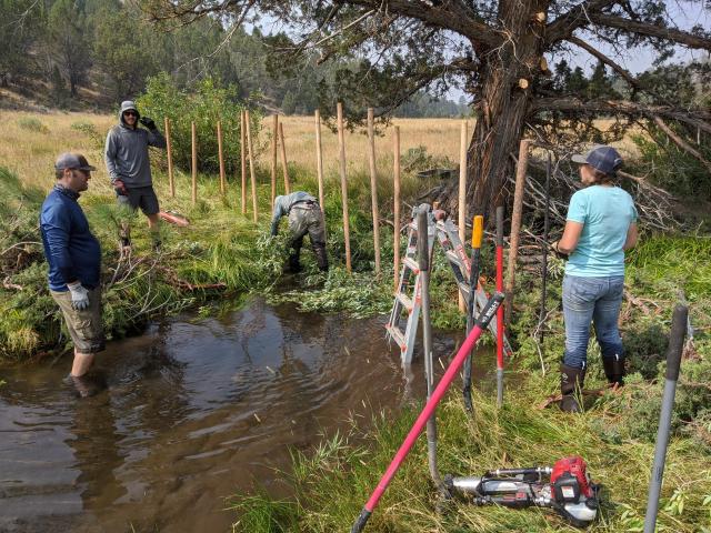 Installation of the first seven beaver dam analogues (BDAs) in 2020, Photo Gerrett Costello
