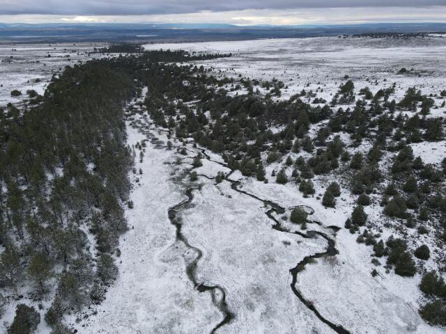 Aerial view of the Fitzhugh Creek Meadow, photo by Garrett Costello