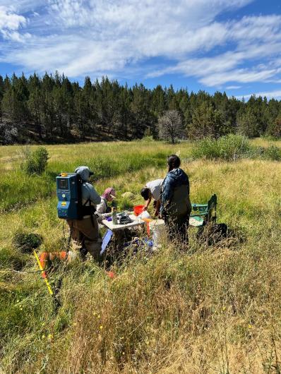 Species workup during fisheries survey in July 2025, Photo by Scott McReynolds.