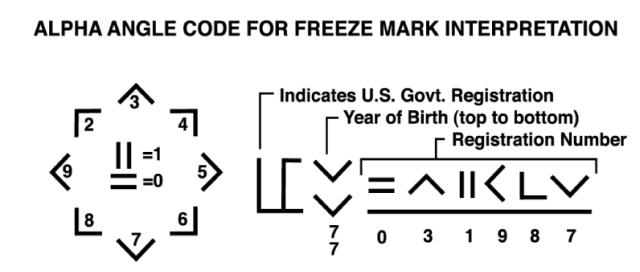 chart describing alpha-angle system
