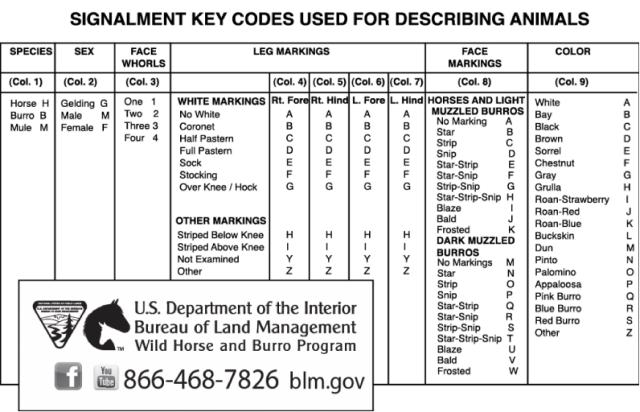 A chart used to decipher signalments