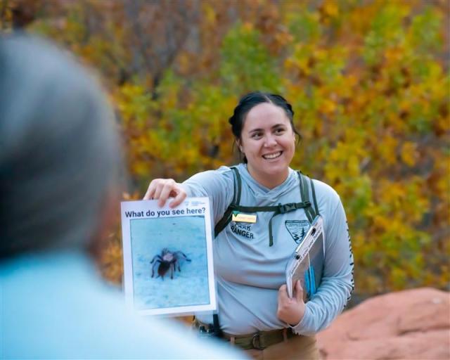 A woman holds up a picture of a spider with leaves on the trees behind her. 