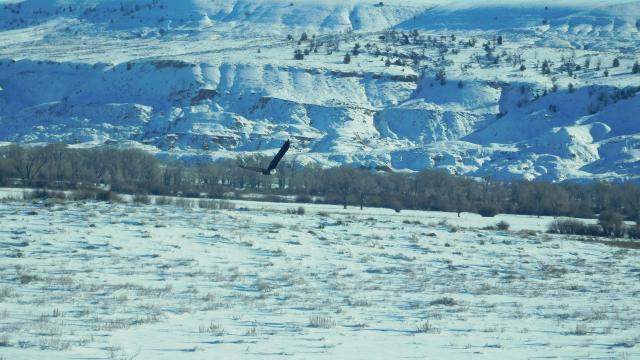 Snow-covered rocky hills rise behind a flat, snowy field with sparse vegetation under a clear sky.