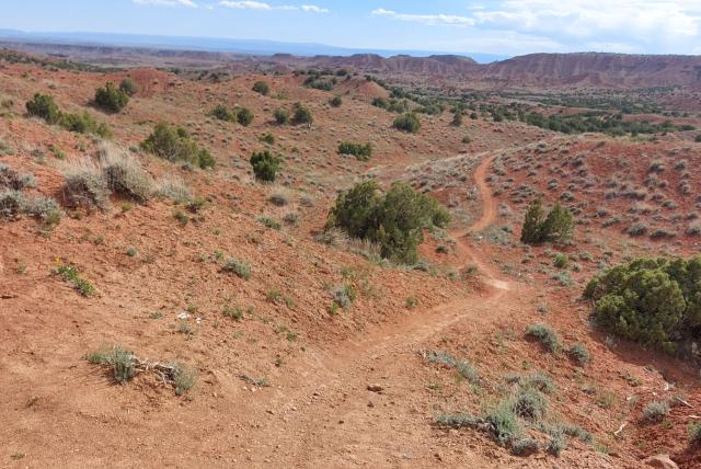 A point-of-view shot from a mountain bike looking down a winding red dirt trail in a vast, arid desert landscape.