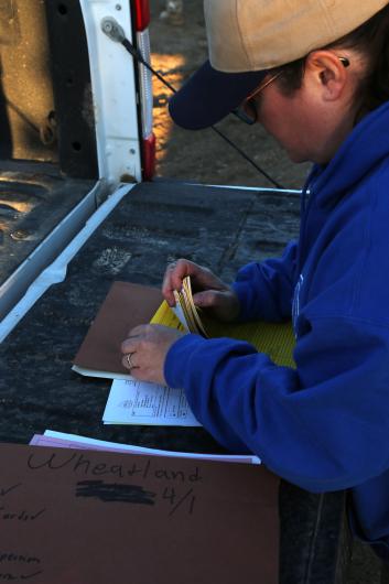 Woman shuffles through paperwork on the back of a truck.