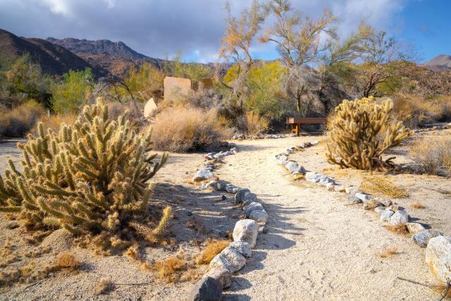 short sandy trail with a rock border, small shrubs and cacti with a gray stormy cloud in a blue sky.