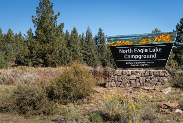 trapezoid sign in the shrubs of a forest. sign says North Eagle Lake Campground.