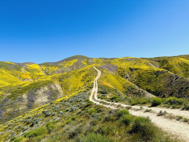 two track dirt path leading into the rolling colorful hills with a blue sky.