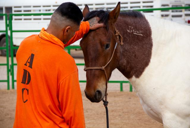 A man dressed in an orange jumpsuit pets a horse
