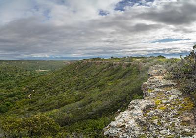 A rocky cliff overlooking a forested ravine.