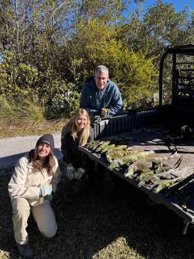 Three people are crouched by a pickup truck, displaying a row of captured iguanas on the bed, surrounded by greenery.