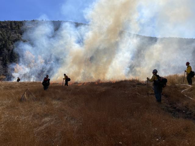 Prescribed Burn