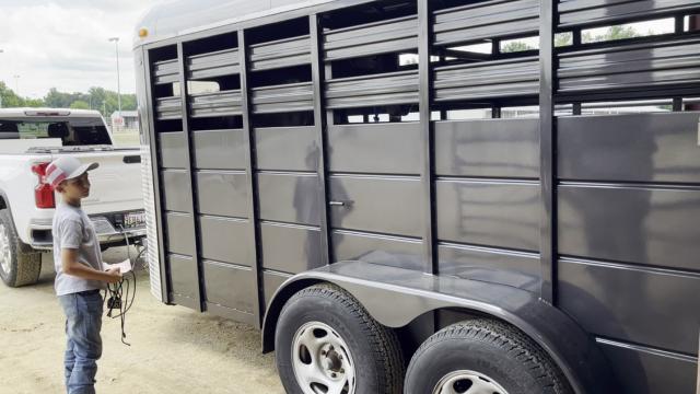 Boy looks at trailer that contains his new adopted horse. 