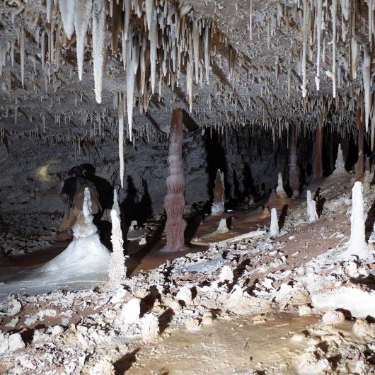 Formations in the “Bliss Borehole." within Fort Stanton Cave. Photo courtesy of the Fort Stanton Cave Study.