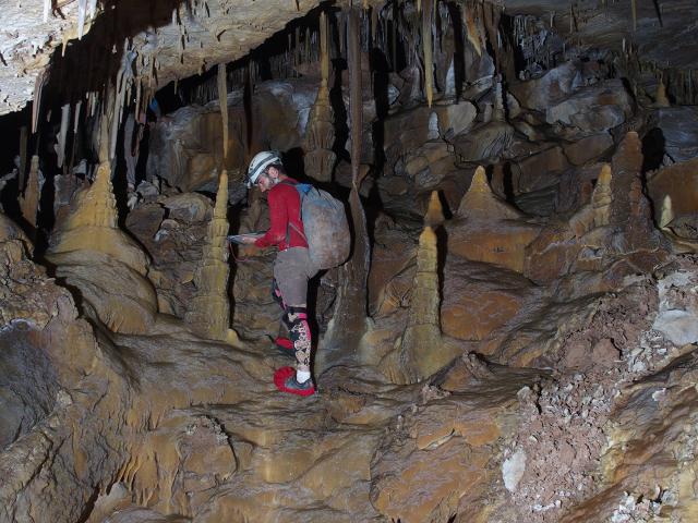 A cave surveyor in the “Capitan Caverns” portion of Fort Stanton Cave. Photo courtesy of the Fort Stanton Cave Study Project.