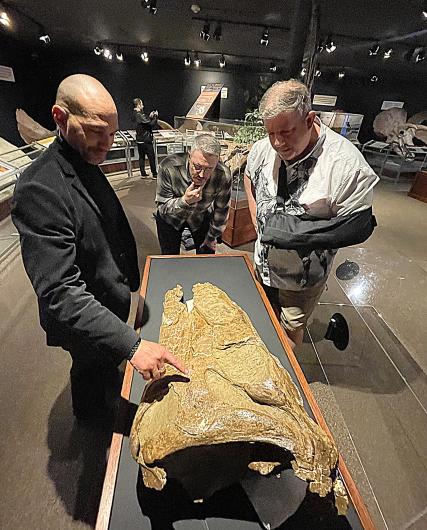  Curator of Paleontology John Scanella, Paleontology Lab and Field Manager Lee Hall, and Senior Director of Exhibitions and Planetarium Scott Williams discuss tooth gouges on an Edmontosaurus skull on display at the Museum of the Rockies Hall of Horns and Teeth. The gentlemen were on hand to crack open the display case for some close up photography on a recent visit by the DOI/BLM. (Photo by Mark Jacobsen.) 