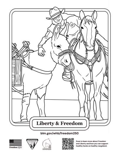 An outline of a donkey on the left side with panniers and American flag-inspired halter next to an outline of a horse with a blaze, and a woman rider wearing a hat and jacket. On the bottom of the page are the Freedom250, BLM and Wild Horse and Burro Program logos, a QR code that links to BLM.gov/whb/Freedom250, and a label that says Liberty & Freedom. 