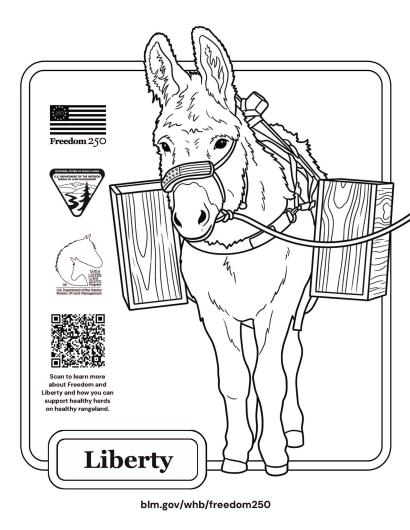 An outline of a donkey, or burro, facing the camera and with panniers on both sides. He has an American flag-inspired halter. Freedom250, BLM, Wild Horse and Burro Program logos line the left side, and a QR code invites scans to "learn more about Freedom and Liberty and how you can support healthy herds on healthy rangeland. At the bottom, the title Liberty. 